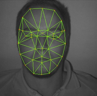 Automatic recognition of facial areas for the analysis of cardiovascular processes (near-infrared image)